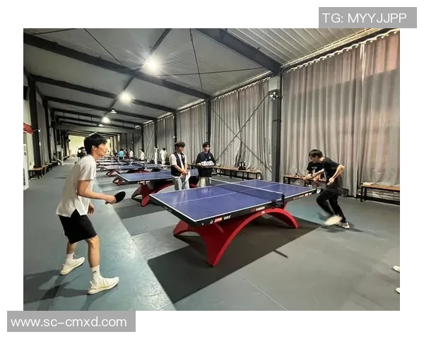 重庆乒乓球队个人能力提升之路探讨与发展策略分析