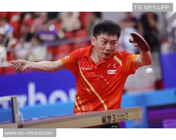广州乒乓球队在全国锦标赛中的比赛经验与表现分析